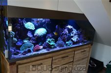 Morské akvárium 535L, rozmery 180x57x55cm